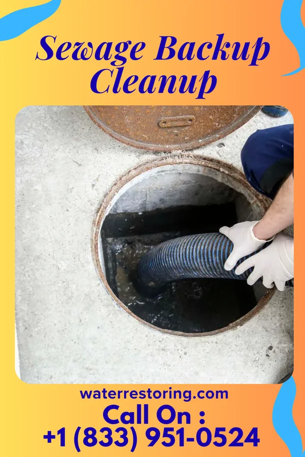 Sewage Backup Cleanup in Carbon, IA